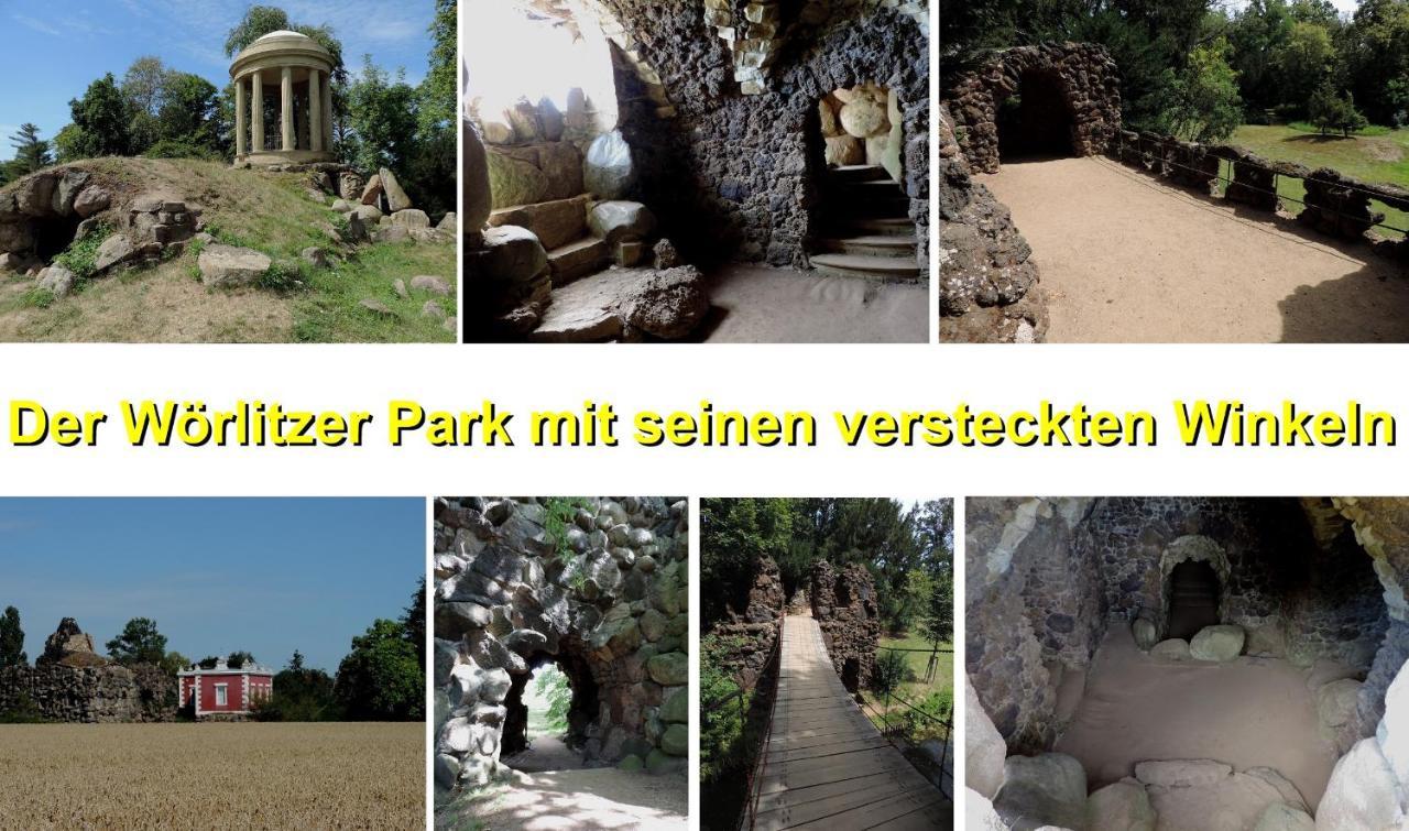 Die Ferienwohnung - Wittenberg An Den Elbwiesen Экстерьер фото