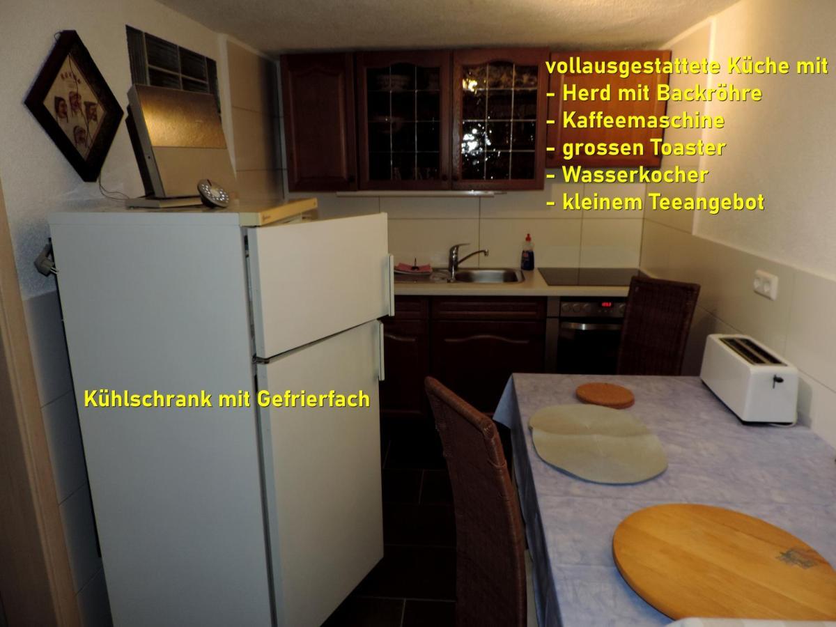 Die Ferienwohnung - Wittenberg An Den Elbwiesen Экстерьер фото