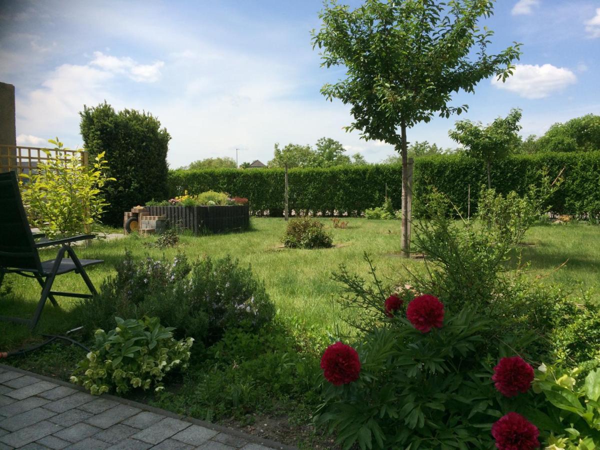 Die Ferienwohnung - Wittenberg An Den Elbwiesen Экстерьер фото