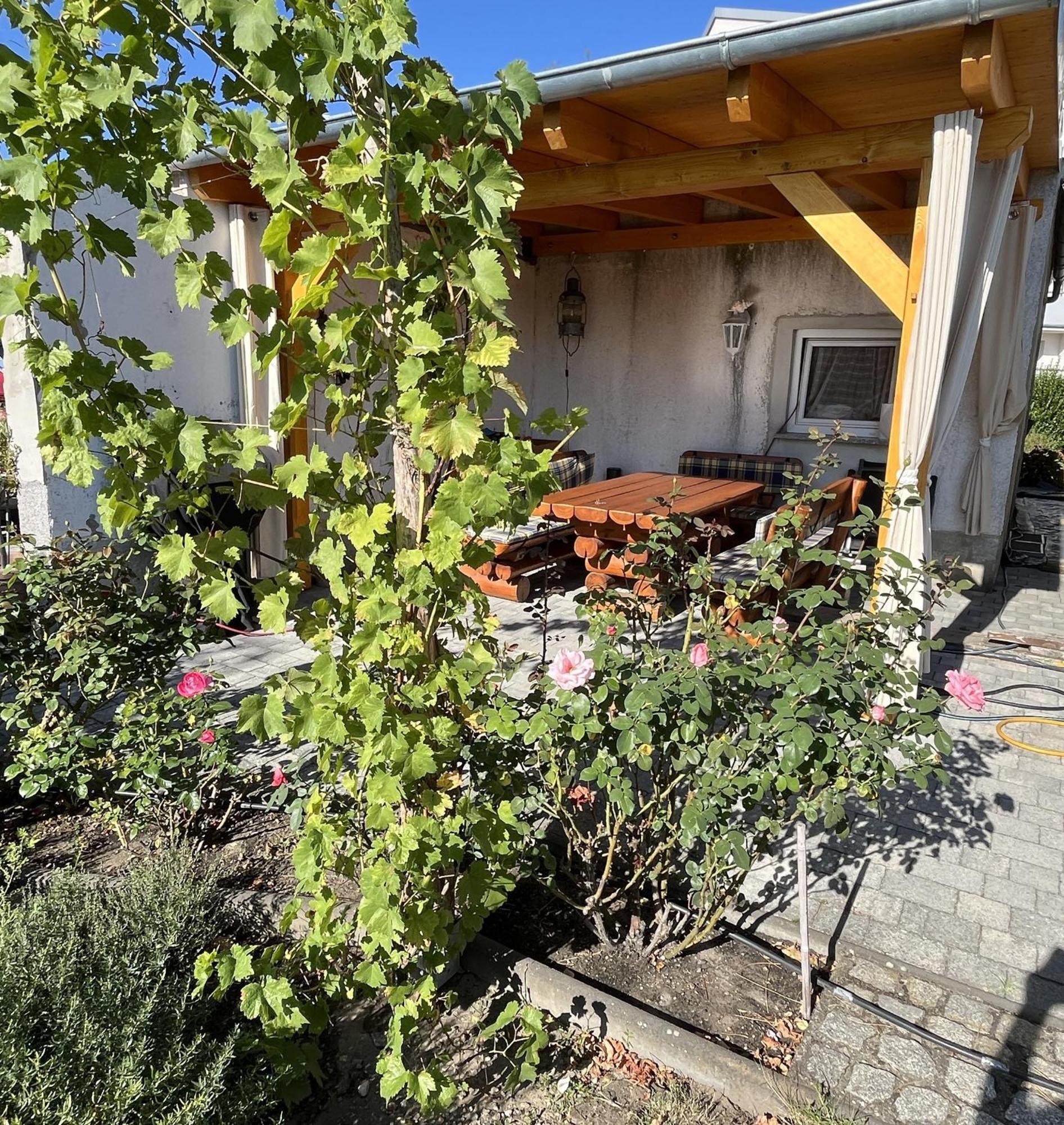 Die Ferienwohnung - Wittenberg An Den Elbwiesen Экстерьер фото
