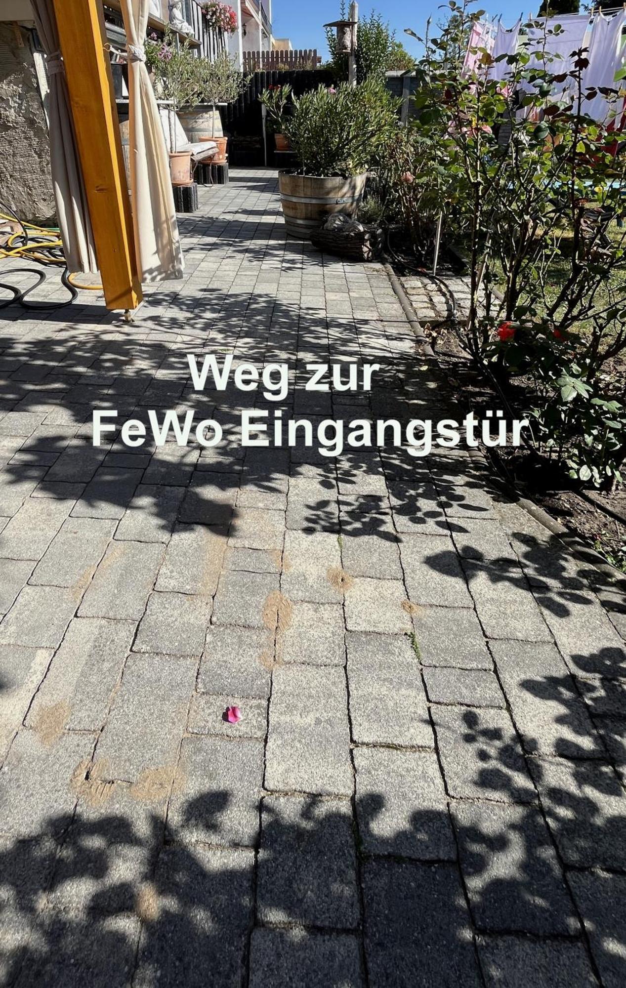 Die Ferienwohnung - Wittenberg An Den Elbwiesen Экстерьер фото